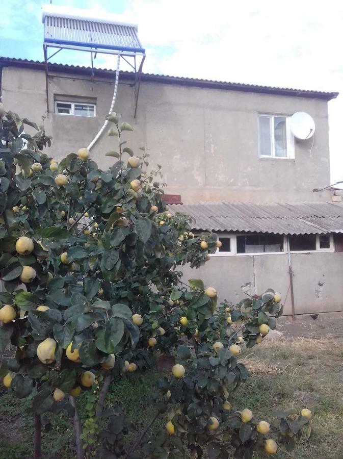 Udabno Naili Hotel Luaran gambar